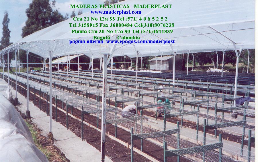bancos para enraizar mesa mesón armazón tableros camilla estructuras maderas plásticas maderplast cultivos tecnificados viveros plantaciones reforestadores propagadores cultivadores plantas 001 bancos para enraizar mesa mesón armazón tableros camilla estructuras maderas plásticas maderplast cultivos tecnificados viveros plantaciones reforestadores propagadores cultivadores plantas 001 01 bancos para enraizar mesa mesón armazón tableros camilla estructuras maderas plásticas maderplast cultivos tecnificados bancos para enraizar mesa mesón armazón tableros camilla estructuras maderas plásticas maderplast cultivos tecnificados viveros plantaciones reforestadores propagadores cultivadores plantas 001 viveros plantaciones reforestadores propagadores cultivadores plantas 001